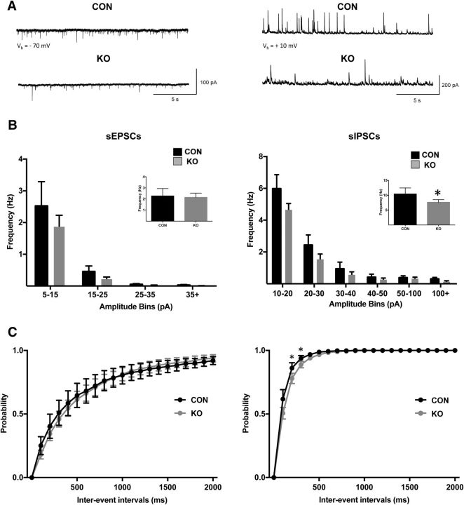 Figure 13.