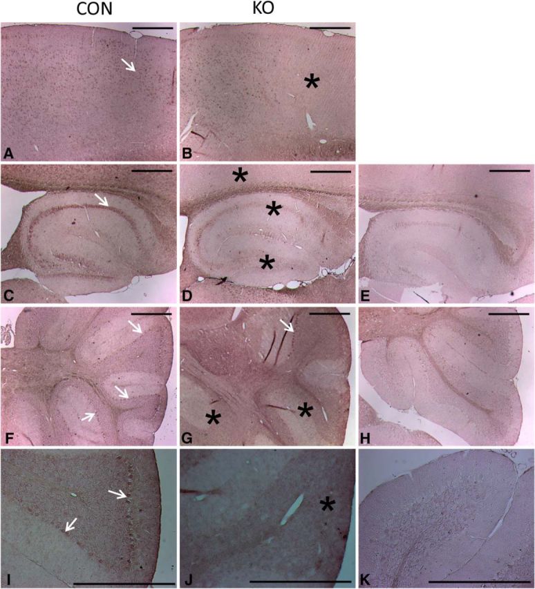 Figure 12.