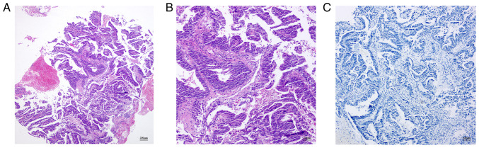 Figure 2.