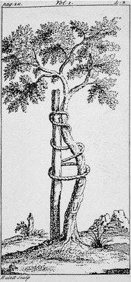 Fig. 7