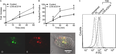 FIGURE 1.