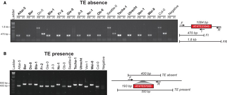 Figure 2—figure supplement 3.