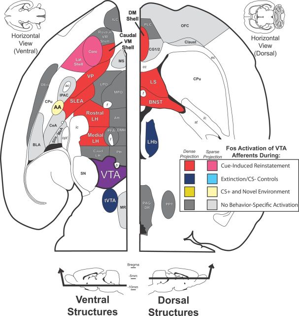 Figure 11.