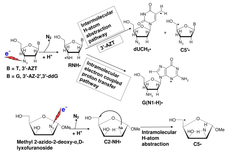 Scheme 4