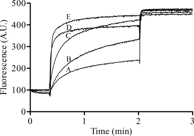 Fig. 8.