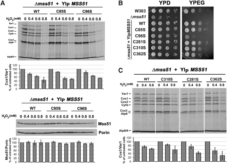 FIG. 4.