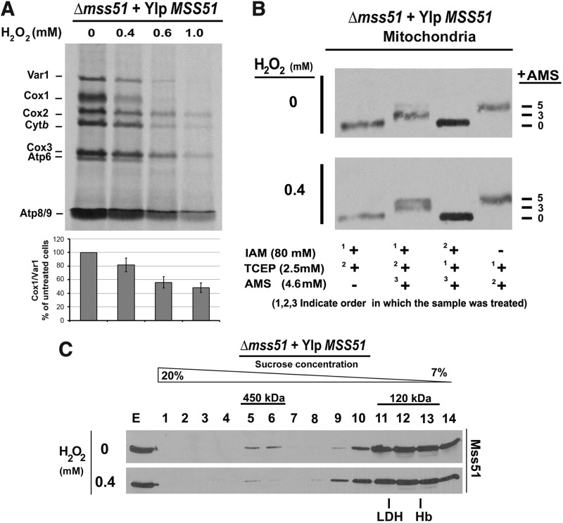 FIG. 6.