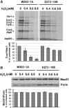 <b>FIG. 1.</b>