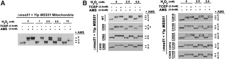 FIG. 3.