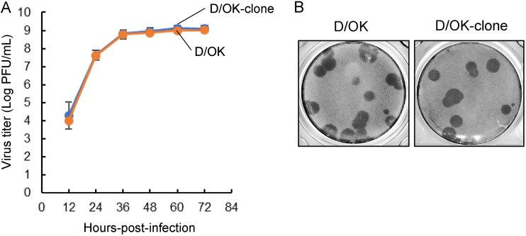 FIG 2