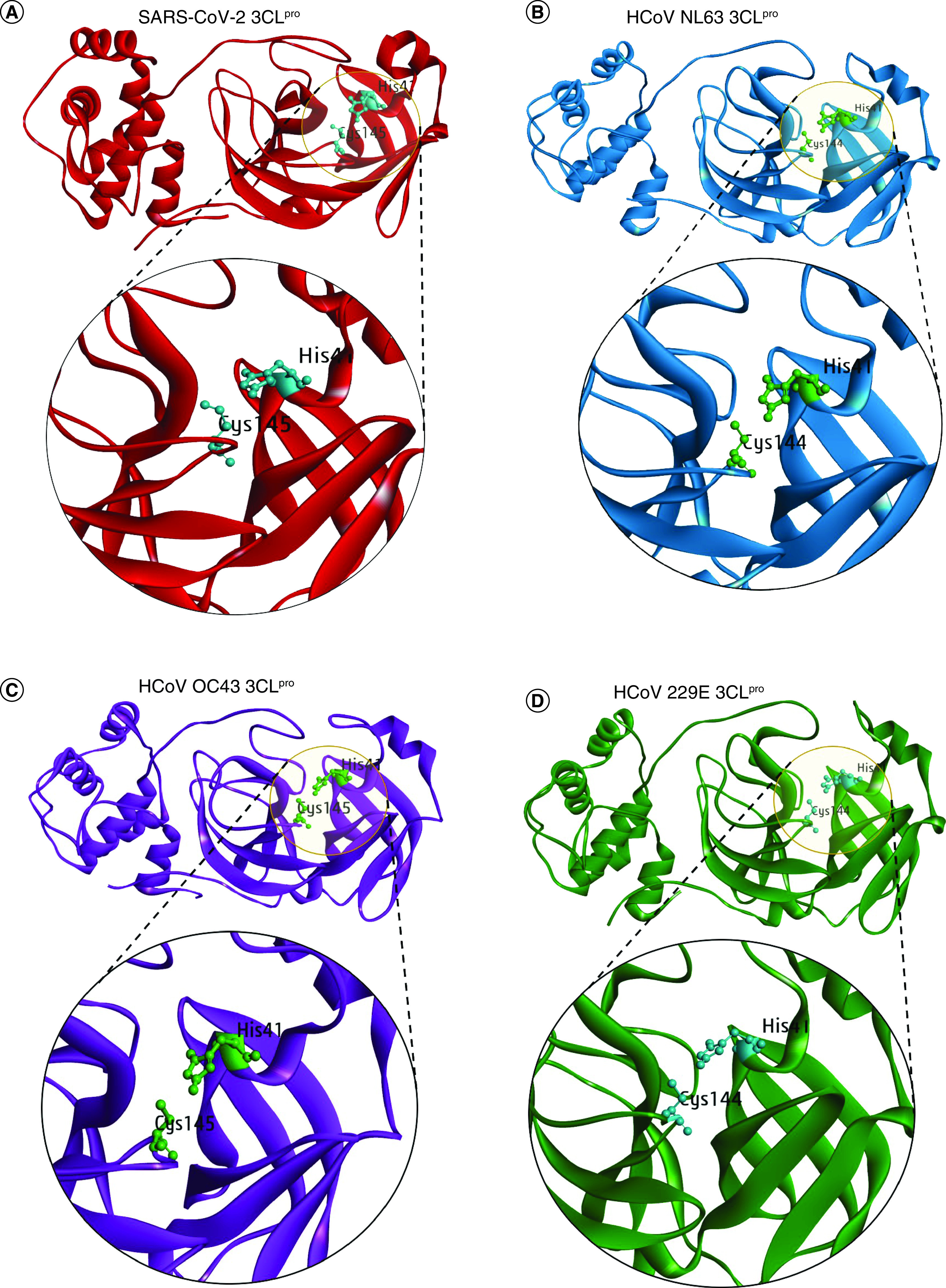 Figure 2. 