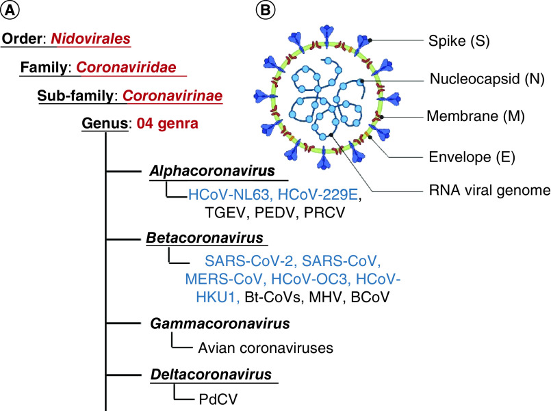 Figure 1. 