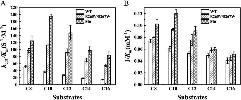 FIG 6