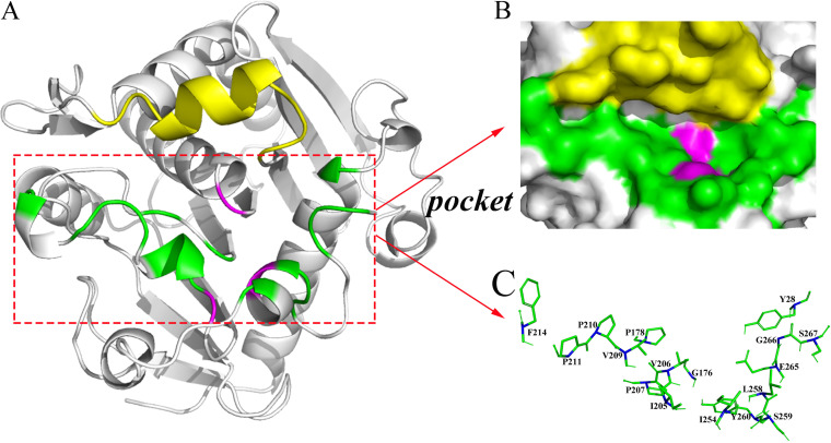 FIG 1