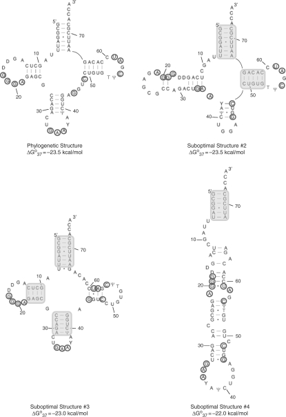 Figure 4.