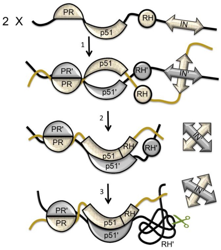 Figure 16