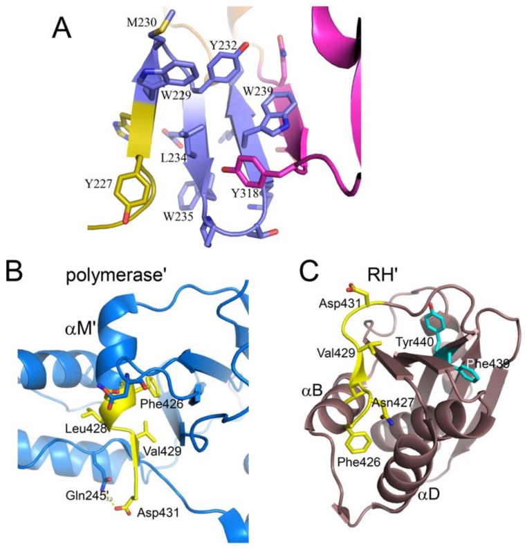 Figure 17