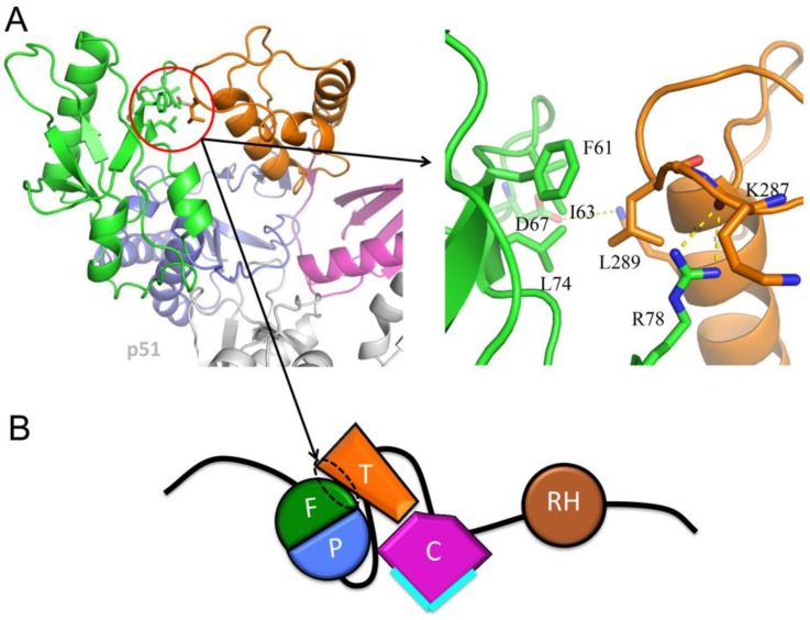 Figure 7