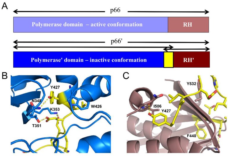 Figure 11