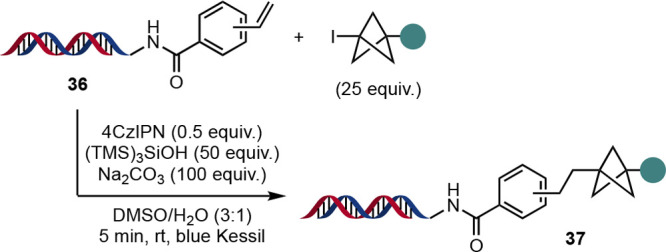 Scheme 21