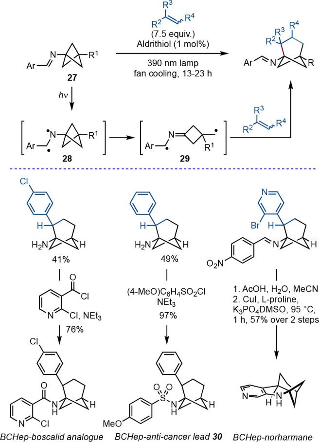 Scheme 20