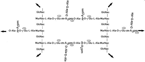 FIG. 5.