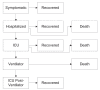 Figure 1)