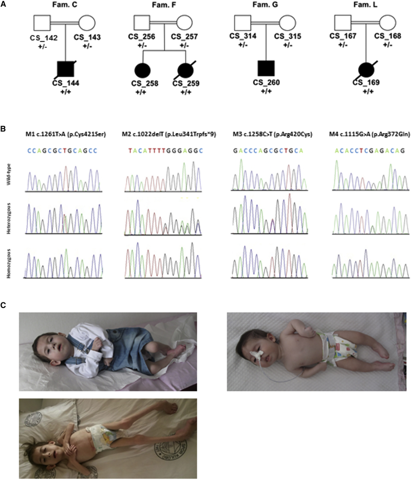 Figure 1