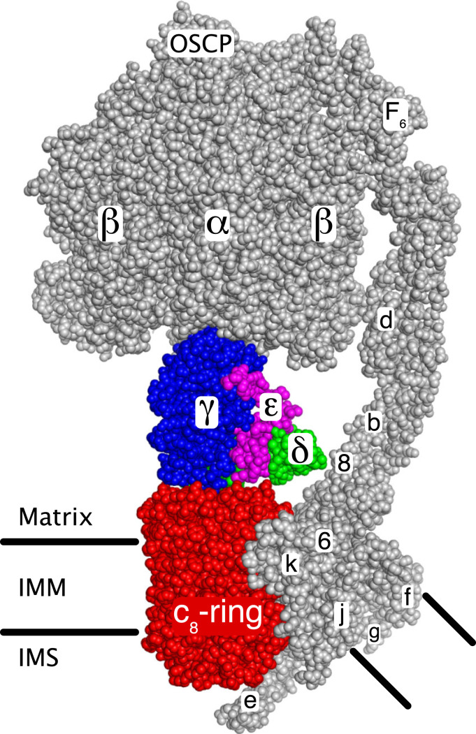 Fig. 1.