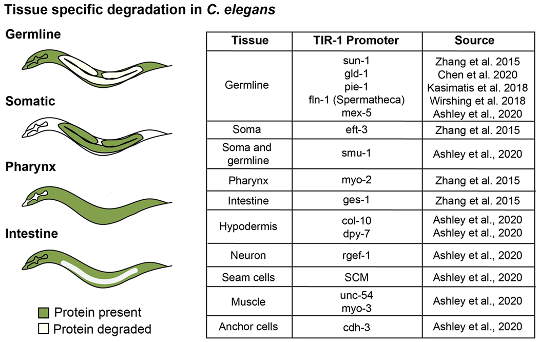 Figure 2: