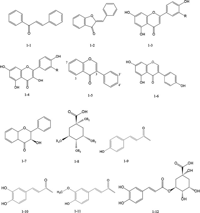 Fig. 1