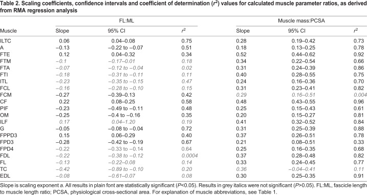 graphic file with name jexbio-222-182741-i2.jpg