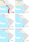 Risk maps for sperm whales in the ETP.