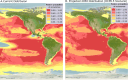 Distribution map of Eastern Pacific sperm whales.
