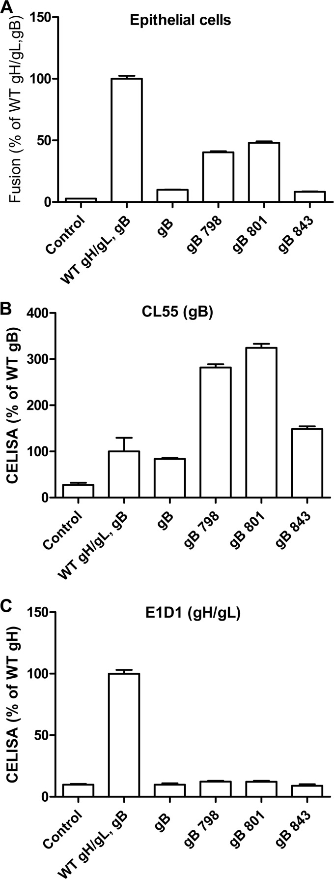 FIG 3