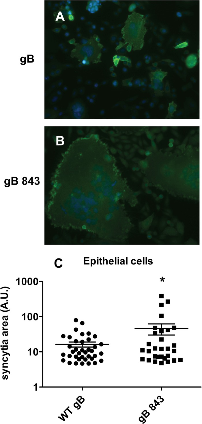 FIG 2