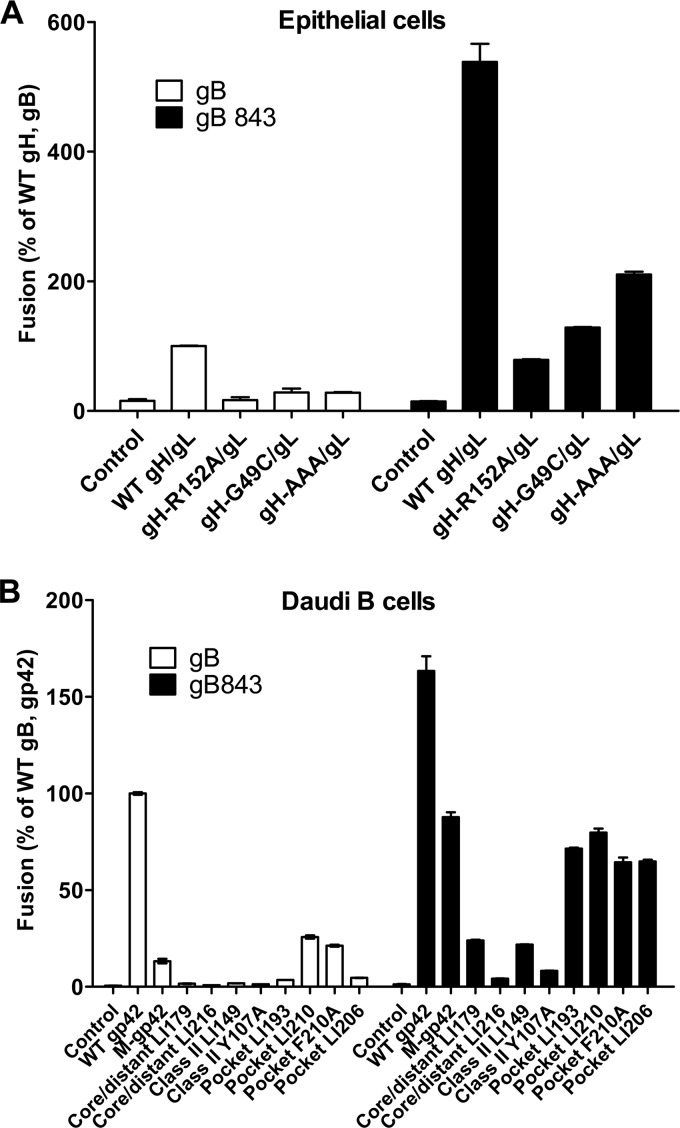 FIG 6