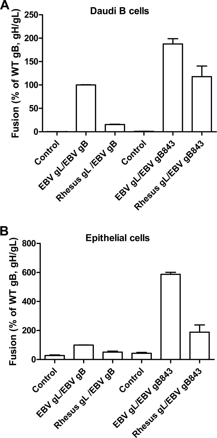 FIG 7