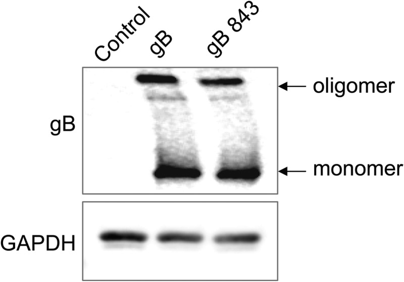 FIG 5