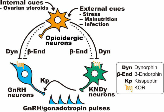 FIGURE 3