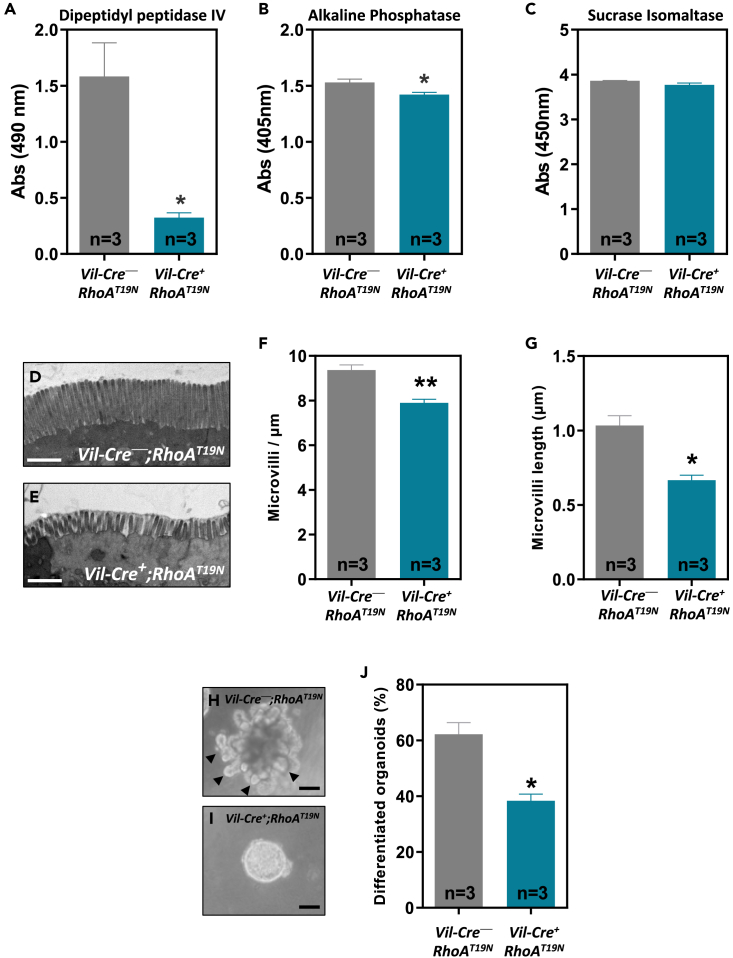 Figure 6