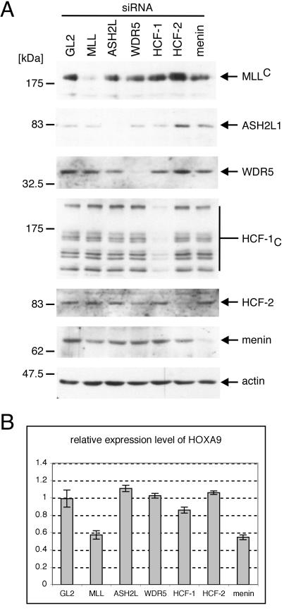 FIG. 7.