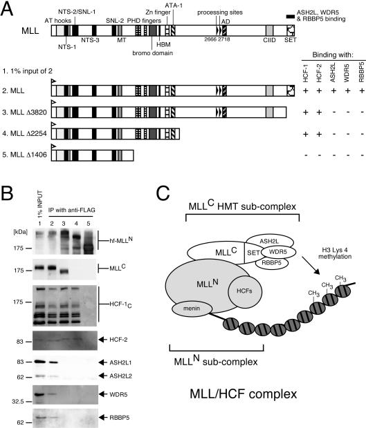 FIG. 4.