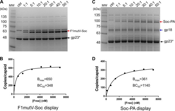 FIG 2