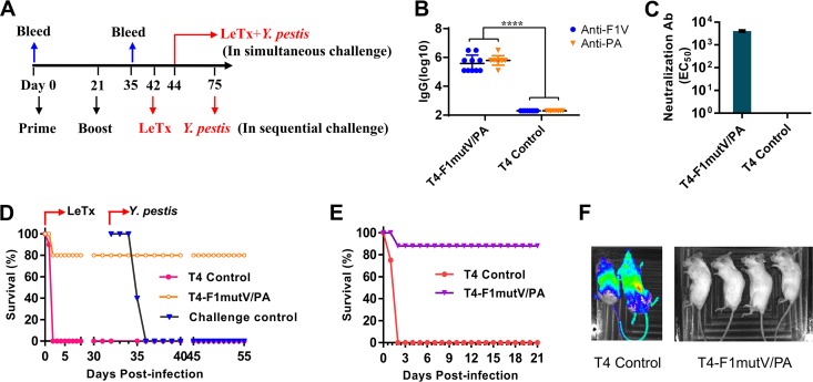 FIG 3