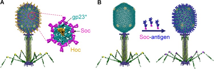 FIG 1