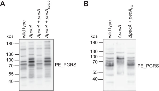 FIG 4