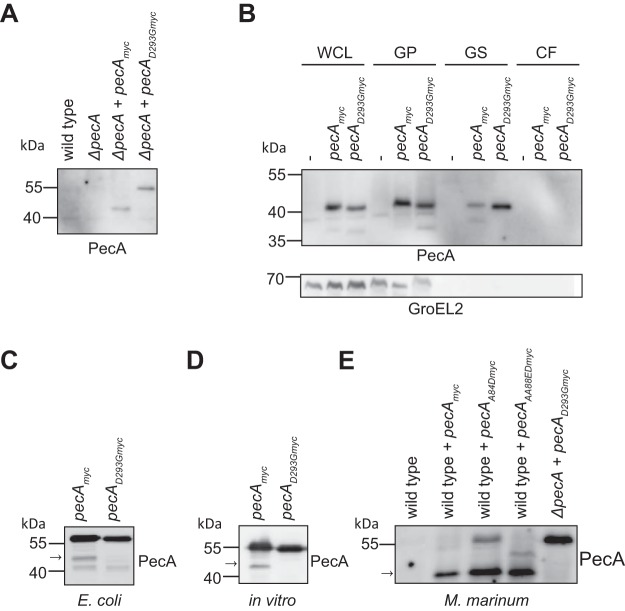 FIG 3