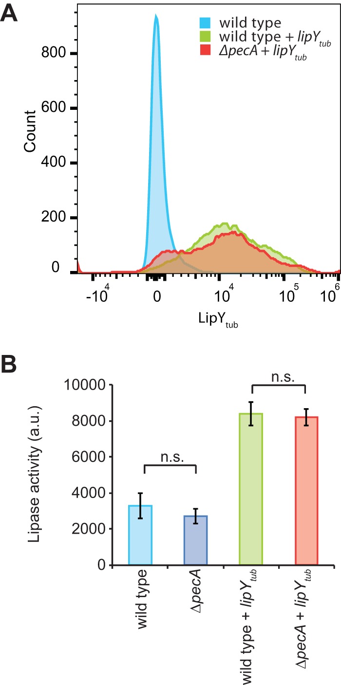 FIG 2