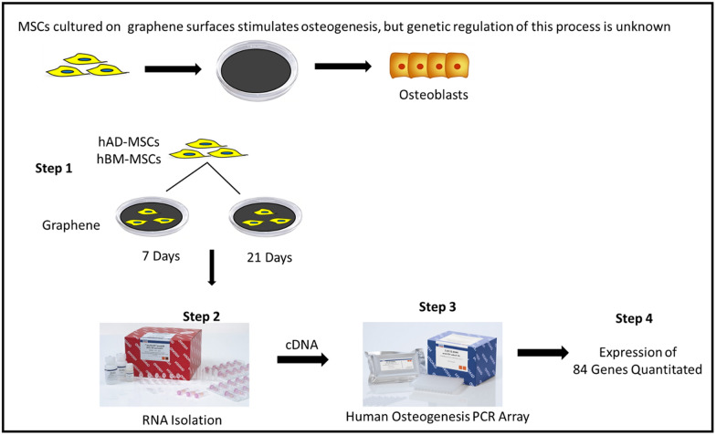 graphic file with name 12951_2021_1024_Figa_HTML.jpg